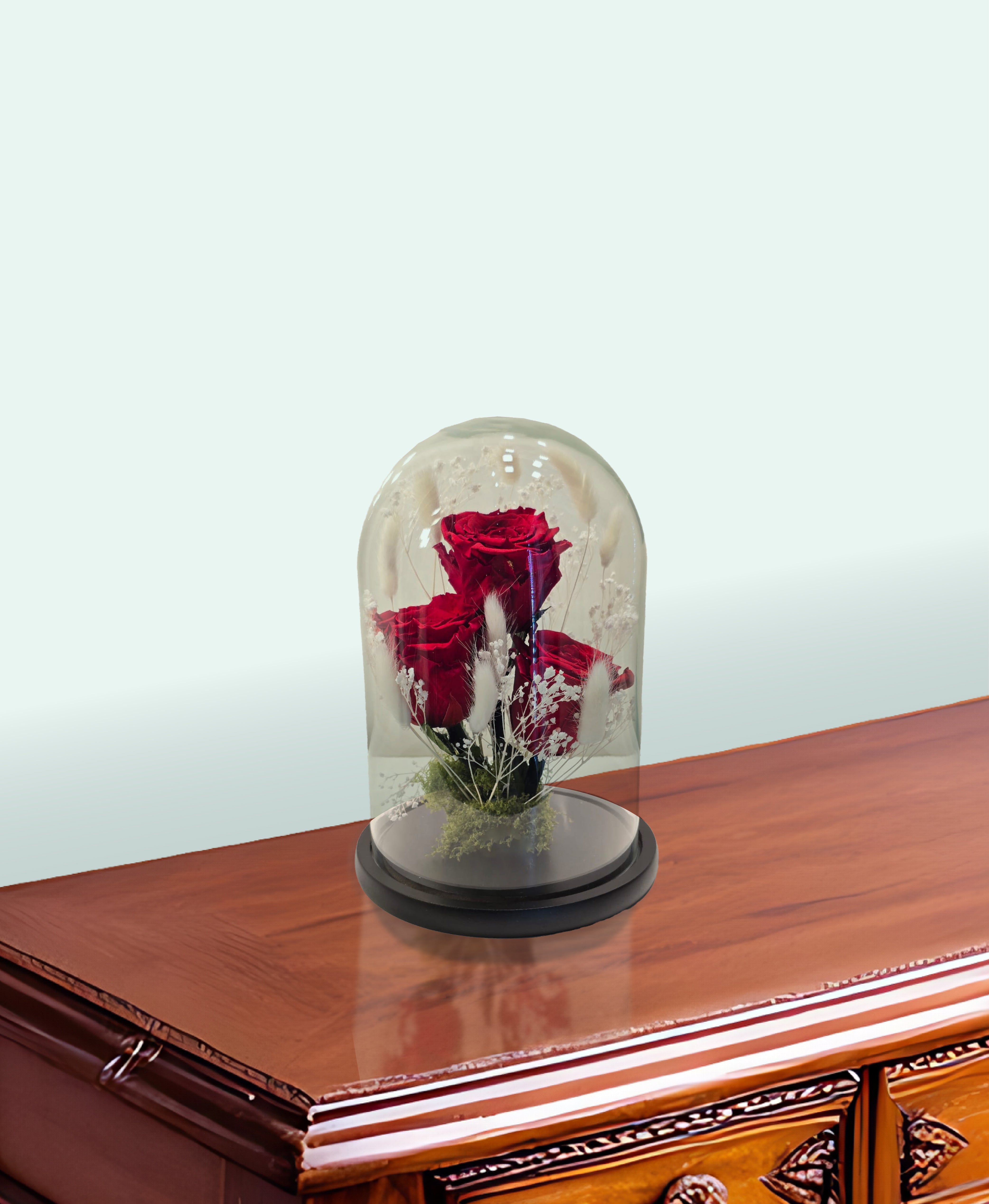 Velvet Rouge Preserved Rose Dome
